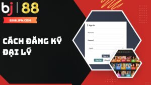 Tổng Hợp Hướng Dẫn BJ88 Dành Cho TÂN BINH - slotorbit