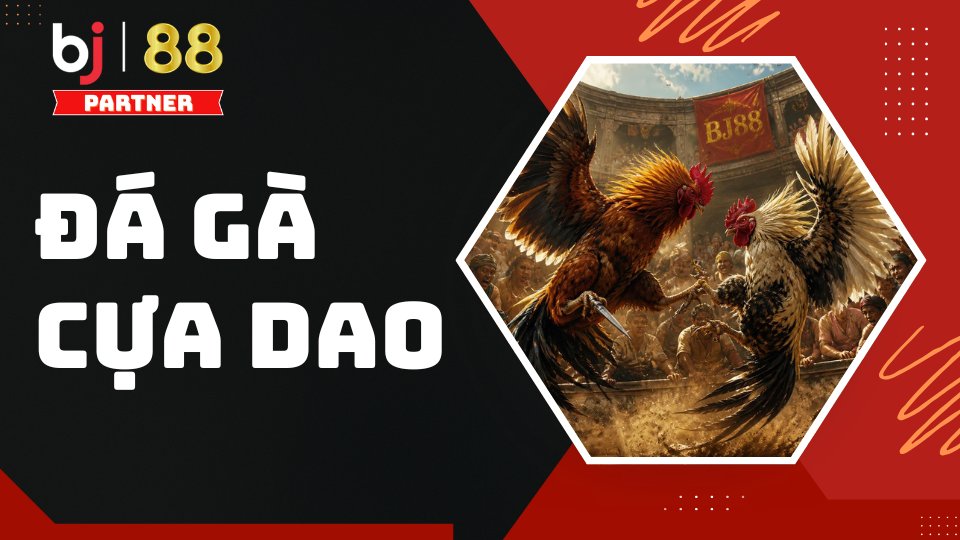 Đá Gà Cựa Dao Tại BJ88 - Tổng Quan Luật Chơi & Mẹo Cược - slotorbit