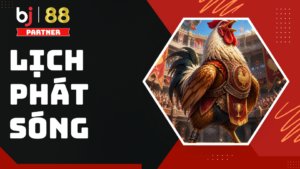Sảnh Đá Gà BJ88 - Trực Tiếp Đá Gà Thomo Và Quốc Tế | +88K - slotorbit